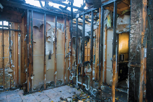 Professional Smoke Damage Removal technician working in Crownsville, MD